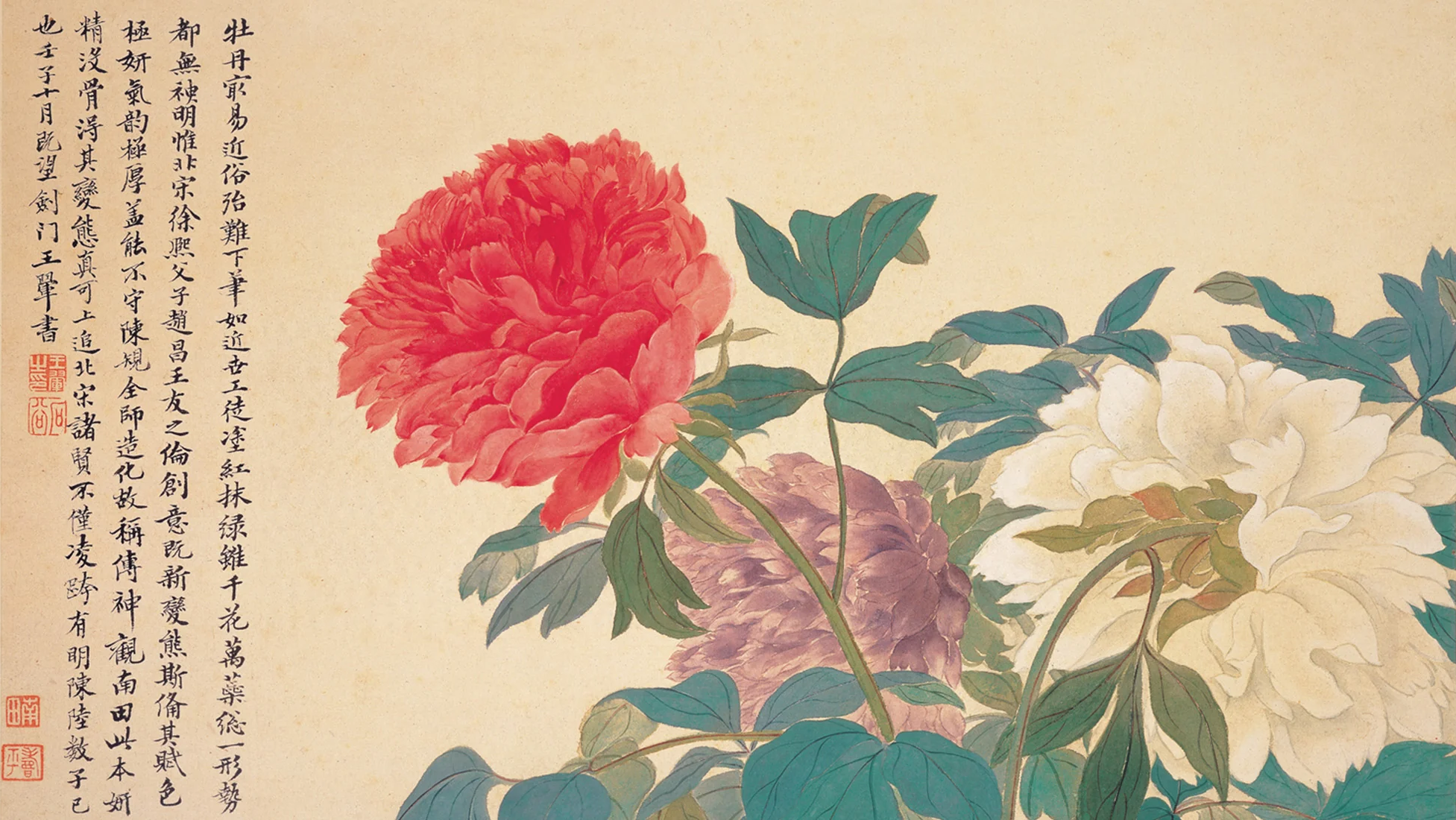 百花之王唯牡丹
